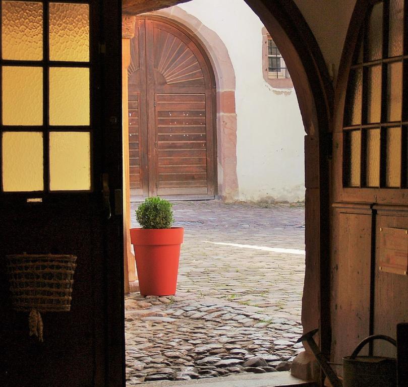 Les Appartements De Louise Riquewihr Zewnętrze zdjęcie